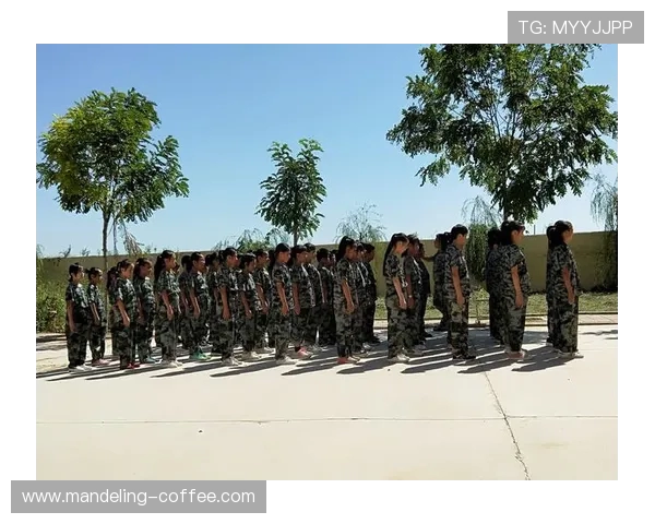 王军畅谈英雄联盟职业生涯的成长与挑战分享