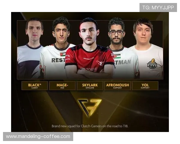 聚焦DOTA2RNG战队耐力与持久战的深度剖析与探讨