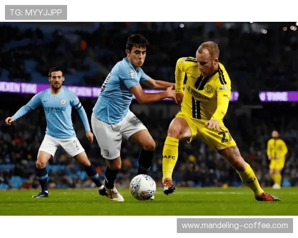 北安普敦与布流浪的精彩对决分析与赛前展望