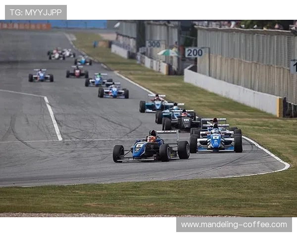 青年赛分析：WE战队在比赛经验上的精彩表现与成长之路