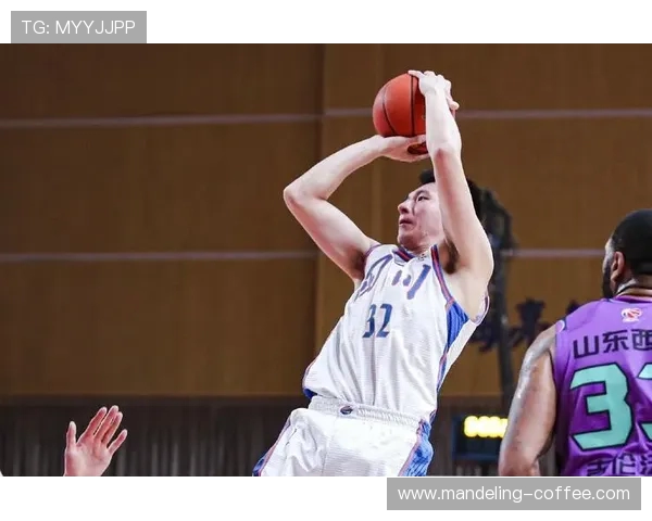 韩硕：从篮球场上的新星到商业领域的多面手之路探索