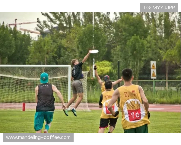 飞盘竞技的魅力:深入南京飞盘队的战术与技术解析