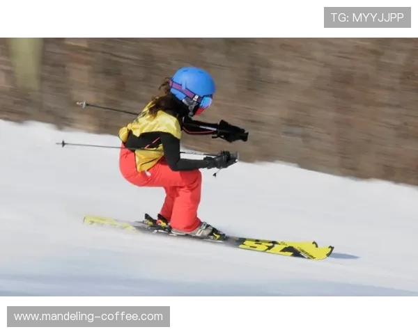 王娜独家分享羽毛球技巧与心得助你提升竞技水平与比赛表现