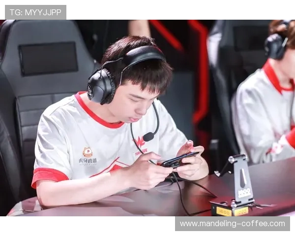 王者荣耀深度解析:探讨WE战队的团队协作与战术配合之道