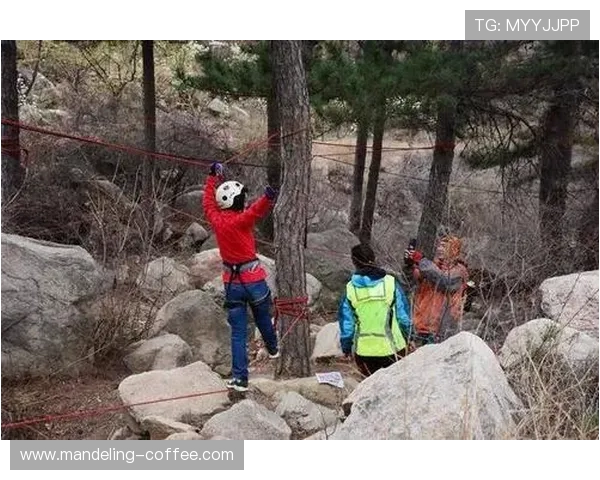 专访攀岩高手杨静揭秘成功秘诀与训练心得分享