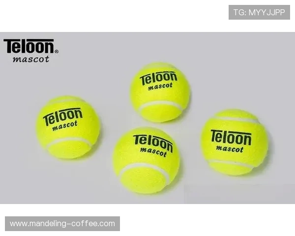 专访黄丽:探寻她在网球领域取得成功的秘诀与心路历程