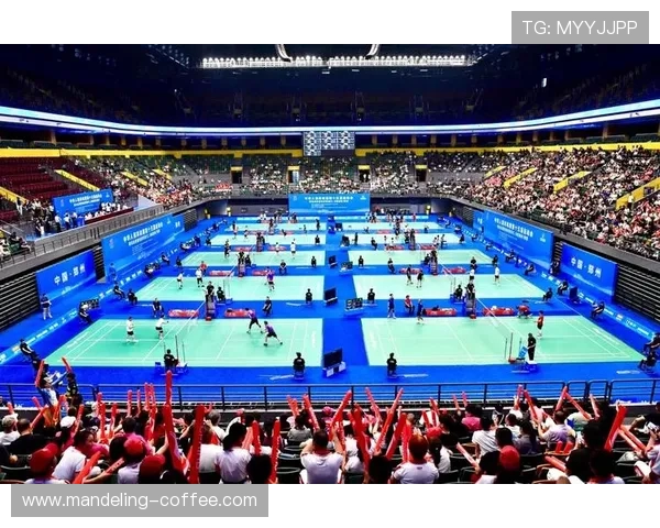 南京羽毛球队在全运会中的精彩表现与实力分析