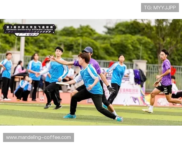 成都飞盘队在极限运动联赛中的力量表现分析与点评